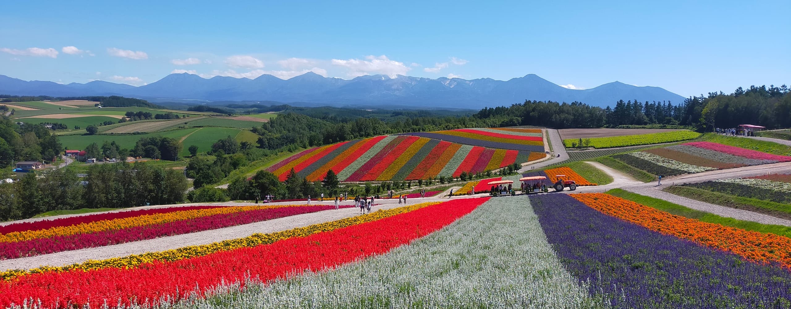 フレンズパック