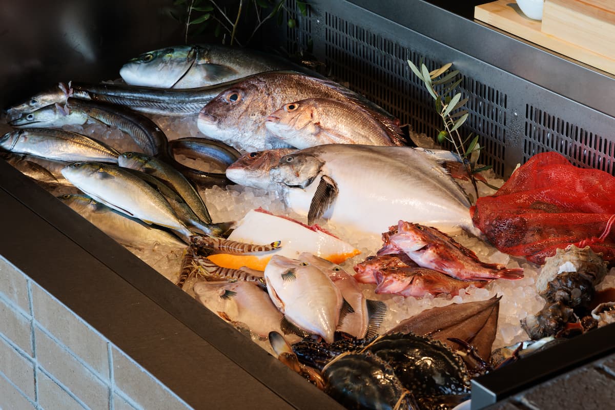 魚のショーケース